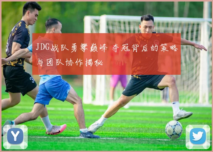 JDG战队勇攀巅峰 夺冠背后的策略与团队协作揭秘