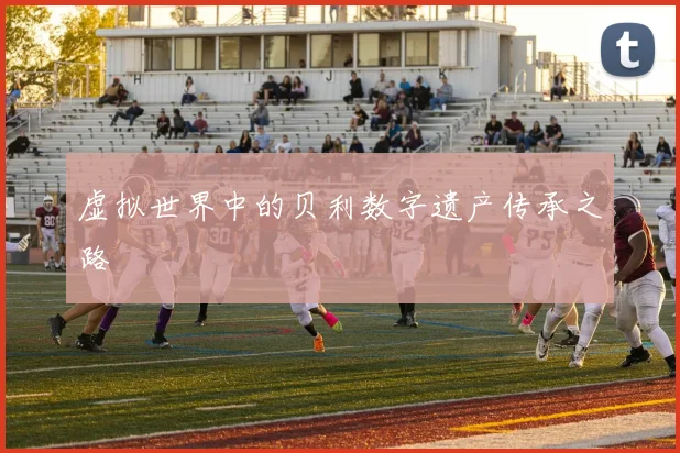 虚拟世界中的贝利数字遗产传承之路