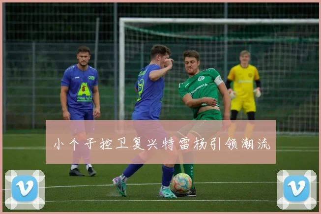 小个子控卫复兴特雷杨引领潮流