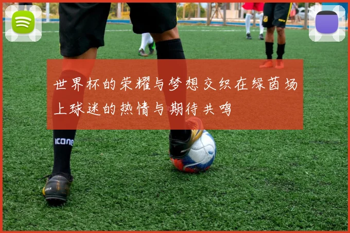 世界杯的荣耀与梦想交织在绿茵场上球迷的热情与期待共鸣