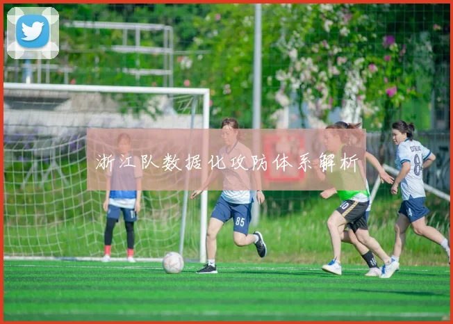 浙江队数据化攻防体系解析