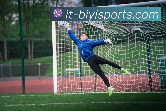 必一体育平台生态图