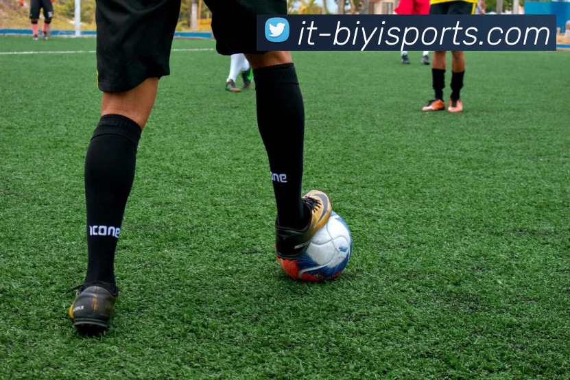 必一体育APP 封面图